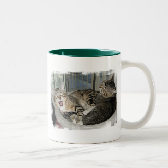 Tasse 2 Couleurs Ses chats durs d'une vie (Droit)