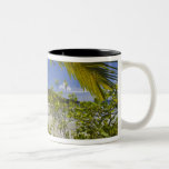 Tasse 2 Couleurs Seychelles, île Curieuse, baie Laraie<br><div class="desc">COPYRIGHT Walter Bibikow / SuperStock.com | AF39 WBI0009.jpg | Seychelles,  île Curieuse,  baie Laraie</div>