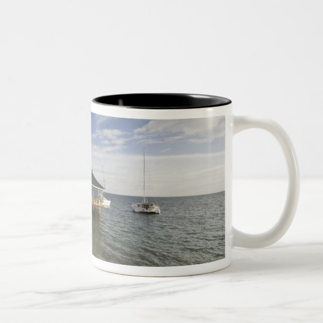 Tasse 2 Couleurs Seychelles, île de Praslin, Anse Bois de Rose, (Droit)