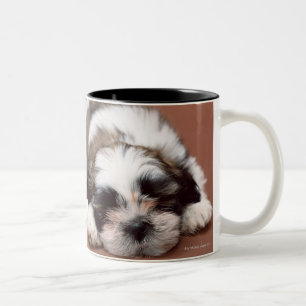 Tasse 2 Couleurs Shih Tzu
