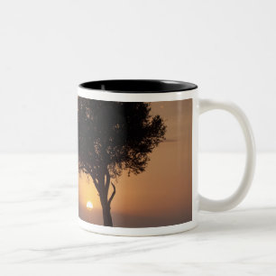 Tasse 2 Couleurs Silhouette d'arbre dans la plaine, Masai Mara 2