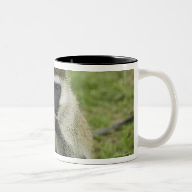 Tasse 2 Couleurs Singe de Vervet mangeant, Afrique (Droit)