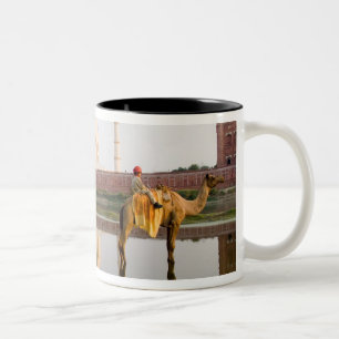 Tasse 2 Couleurs Site funéraire du temple mondialement célèbre Taj 