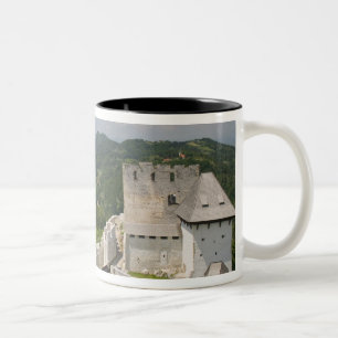 Tasse 2 Couleurs SLOVÉNIE, STAJERSKA Styrie), Celje : vue de la vil