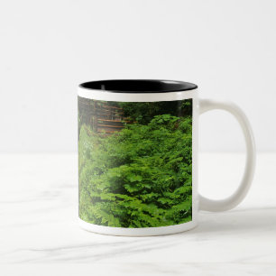 Tasse 2 Couleurs Sol Duc Falls dans le parc national olympique 2