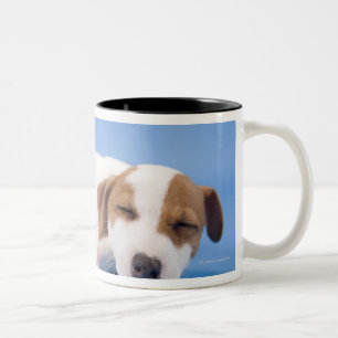 Tasse 2 Couleurs Sommeil de chien