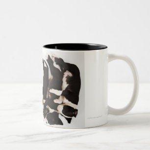 Tasse 2 Couleurs Sommeil de cinq de harlequin chiots de great dane
