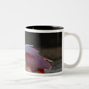 Tasse 2 Couleurs Spatule rosée, Ajaia ajaja, Ding Darling