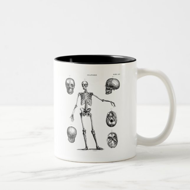 Tasse 2 Couleurs Squelettes antiques squelettiques d'anatomie de (Droit)
