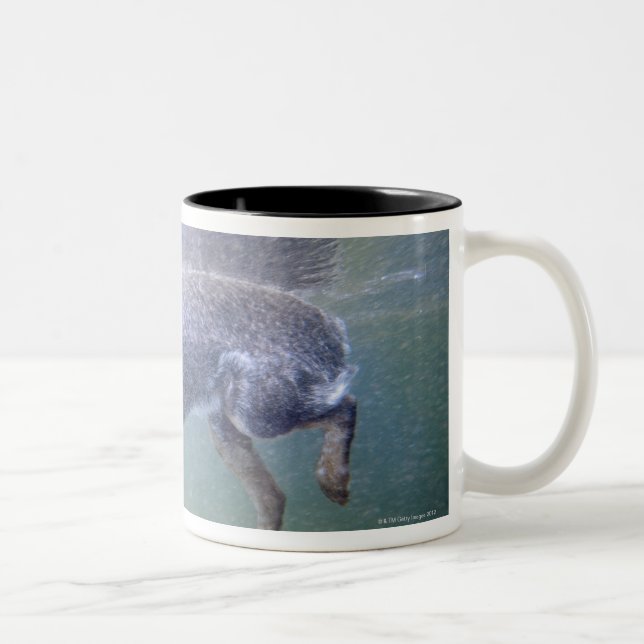 Tasse 2 Couleurs Sun Valley, Idaho, Etats-Unis (Droit)