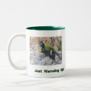 Tasse 2 Couleurs Sun Worship Colorée Collared Lizard Photo