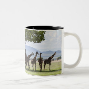 Tasse 2 Couleurs Sur le safari en parc national de Mikumi en