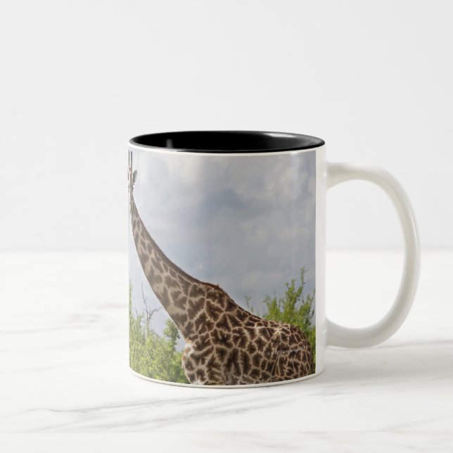 Tasse 2 Couleurs Sur le safari en Tanzanie, l'Afrique. 2 (Droit)