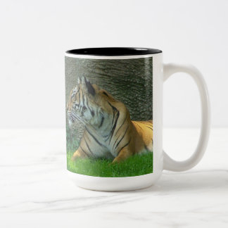 Tasse 2 Couleurs Symétrie effrayante