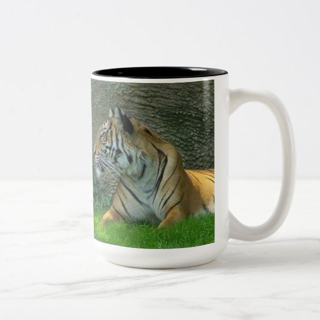 Tasse 2 Couleurs Symétrie effrayante (Droit)