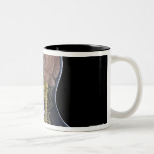 Tasse 2 Couleurs Système nerveux humain