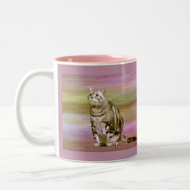 Tasse 2 Couleurs Tabby argenté (Gauche)