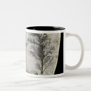 Tasse 2 Couleurs Tablier d'un maître de l'ordre du Rose-Croix