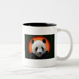 TASSE 2 COULEURS TAI SHAN