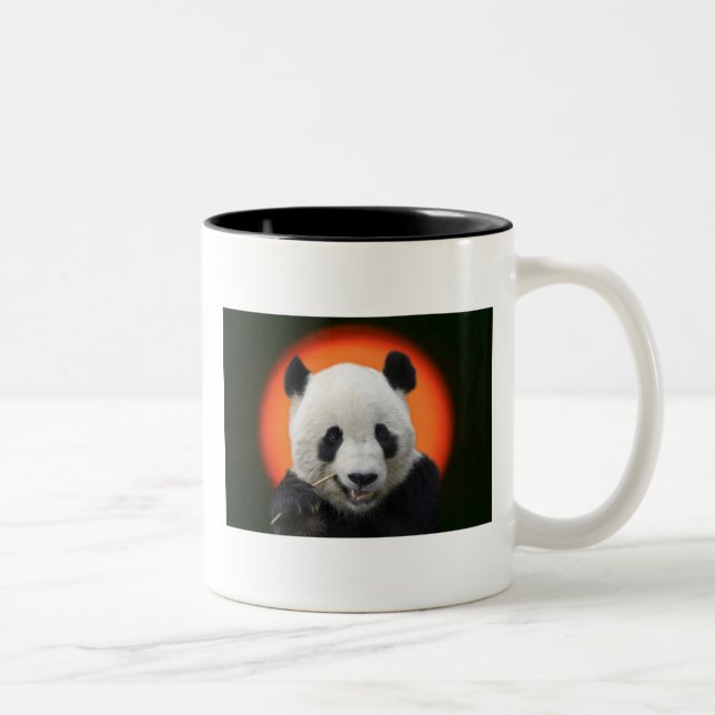 TASSE 2 COULEURS TAI SHAN (Droit)