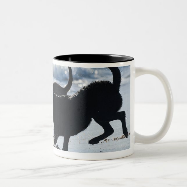 Tasse 2 Couleurs Tarifa Cadix Andalousie Espagne (Droit)