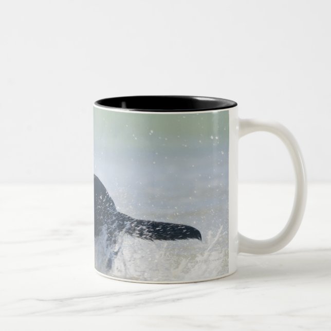 Tasse 2 Couleurs Tarifa, Cadix, Espagne (Droit)