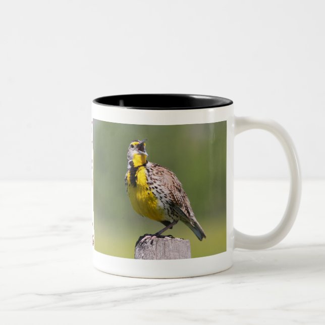 Tasse 2 Couleurs Tasse-Meadowlark du Wyoming (Droit)