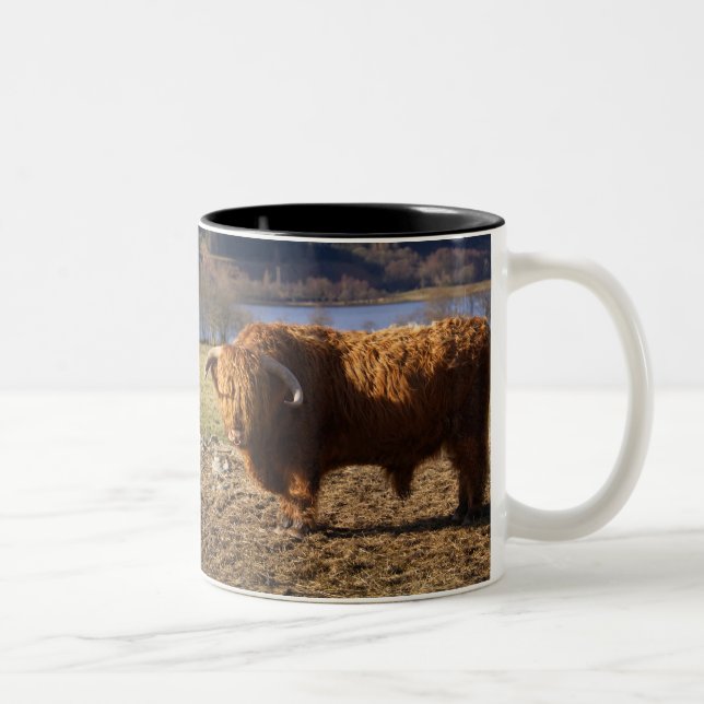 Tasse 2 Couleurs Taureau Highland Cattle, Écosse (Droit)