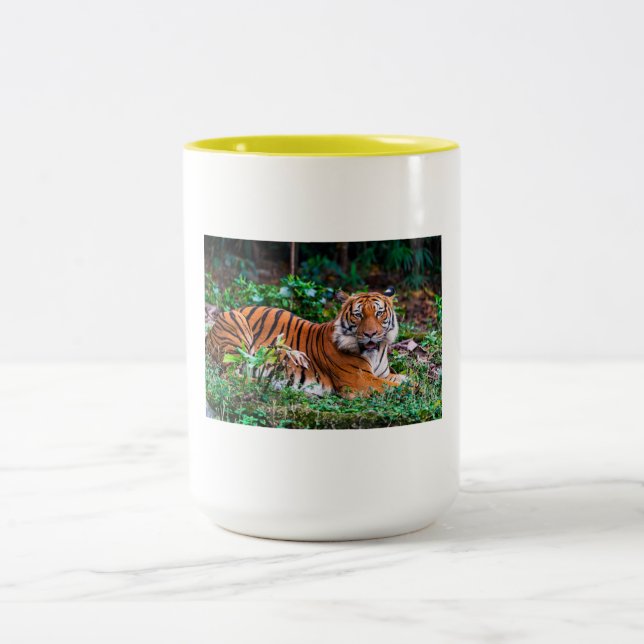 Tasse 2 Couleurs taza tg (Centre)