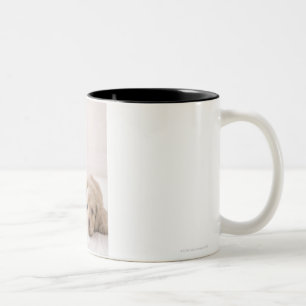 Tasse 2 Couleurs Teckel de deux miniatures