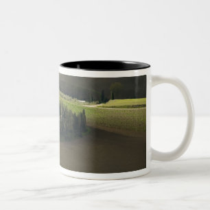 Tasse 2 Couleurs Terres agricoles autour de Montepulciano, Toscane,