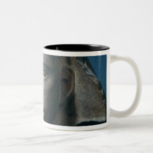 Tasse 2 Couleurs Tête du Roi Djedefre, d'Abu Roash, vieux