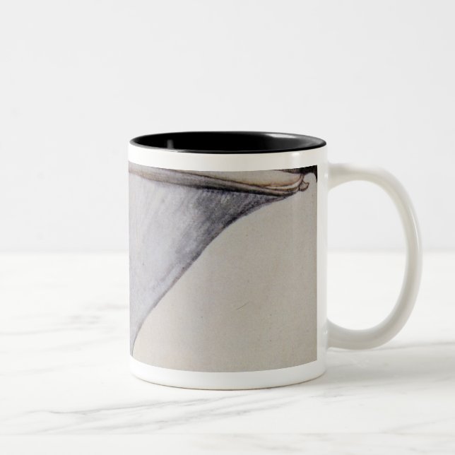 Tasse 2 Couleurs Tête d'un pélican Brown (Droit)