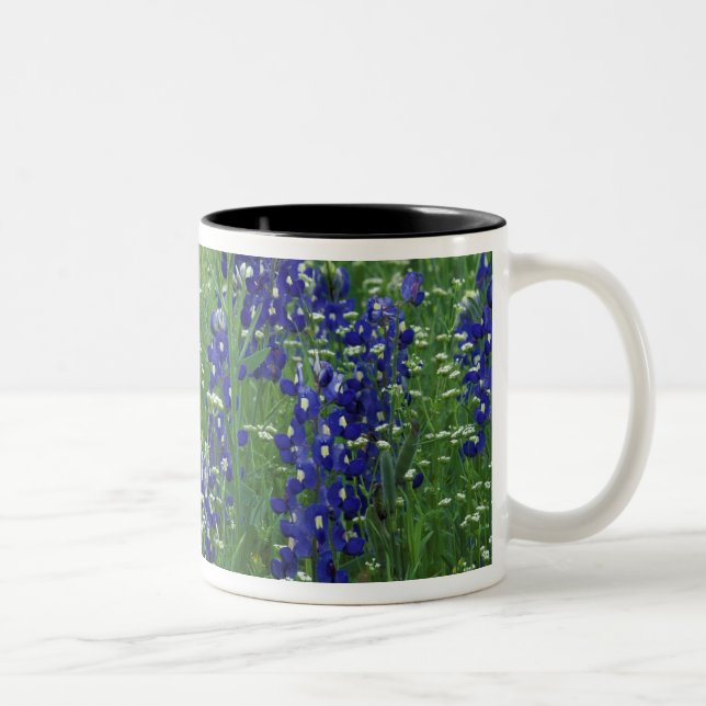 Tasse 2 Couleurs Texas, lac Buchanan. Bluebonnet et sauvage du Texa (Droit)
