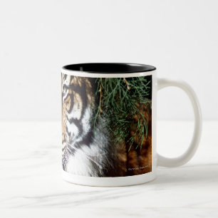 Tasse 2 Couleurs Tigre appréciant l'ombre
