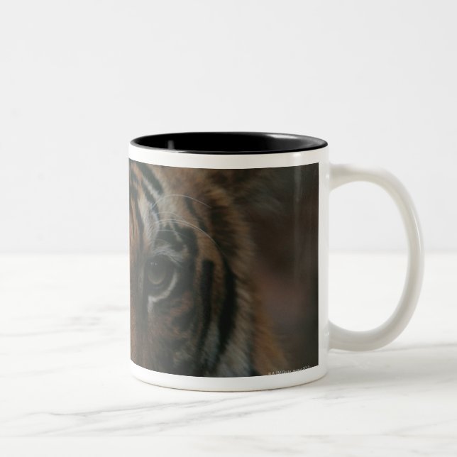 Tasse 2 Couleurs Tigre CUB (Droit)