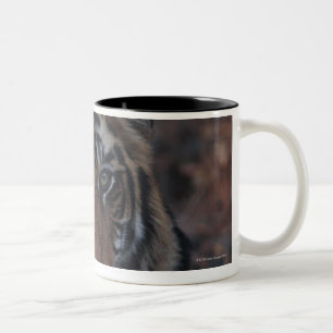Tasse 2 Couleurs Tigre CUB de Bengale
