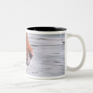 Tasse 2 Couleurs Tigre de baîllement dans l'eau