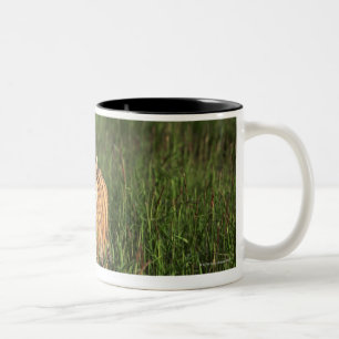 Tasse 2 Couleurs Tigre de Bengale