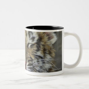 Tasse 2 Couleurs Tigre de Bengale baîllant