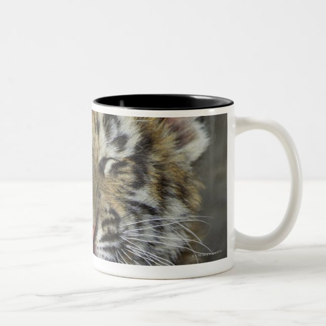 Tasse 2 Couleurs Tigre de Bengale baîllant (Droit)