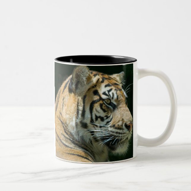Tasse 2 Couleurs Tigre de Sumatran (Droit)