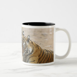 Tasse 2 Couleurs Tigre du Bengale royal et jeune - Se touchant en a