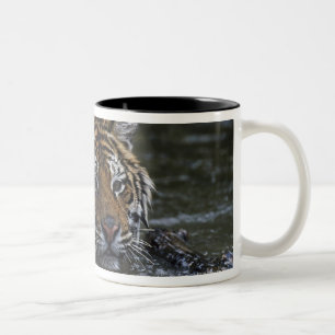 Tasse 2 Couleurs Tigre sibérien dans l'eau