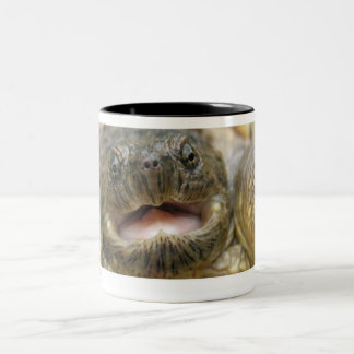 Tasse 2 Couleurs Tinytwo 02