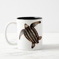 Tortue luth