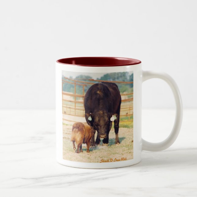 Tasse 2 Couleurs Travaillez un berger australien de Stockdog avec (Droit)