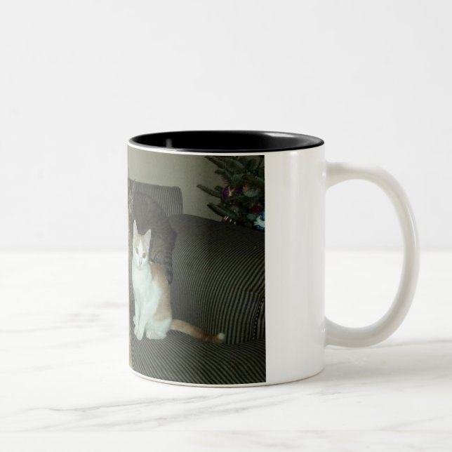 Tasse 2 Couleurs Trio sale (Droit)