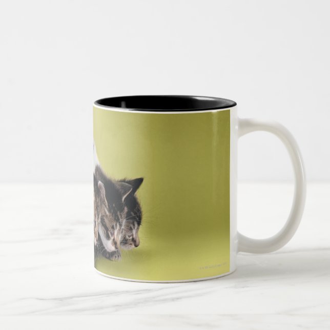 Tasse 2 Couleurs Trois chatons s'étreignant (Droit)
