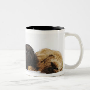 Tasse 2 Couleurs Trois chiens de Pekingese et carlin simple se